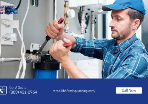 Whole-Home Plumbing Upgrade in Fort Mill, SC