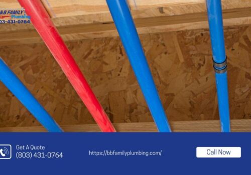 Whole-Home Plumbing Upgrade in Fort Mill, SC