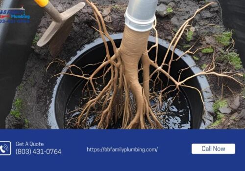 Tree Roots Removed During Drain Clearing in Fort Mill, SC