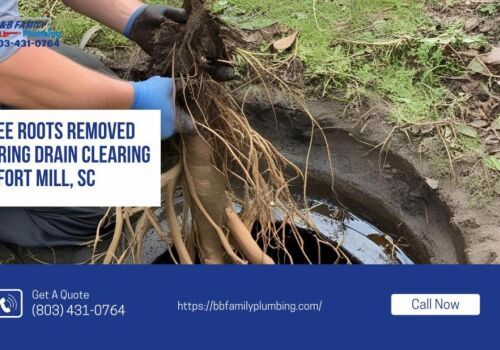 Tree Roots Removed During Drain Clearing in Fort Mill, SC
