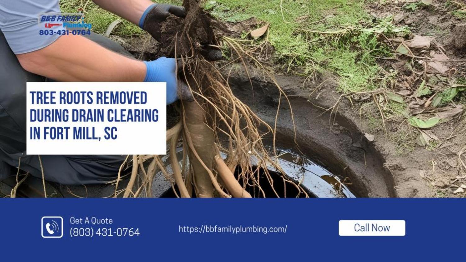 Tree Roots Removed During Drain Clearing in Fort Mill, SC